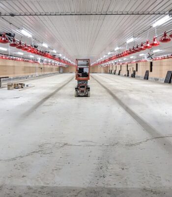 PXL 20231018 110916777.MP.